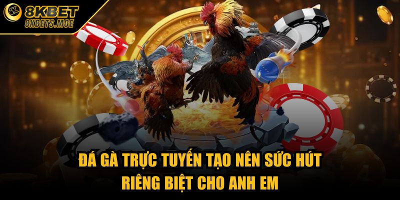 Đá gà trực tuyến tạo nên sức hút riêng biệt cho anh em