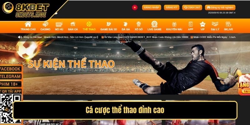 Cá cược thể thao đỉnh cao