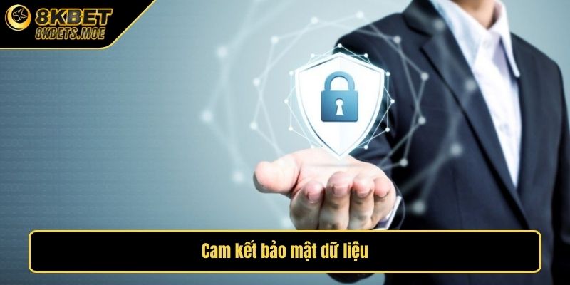 Cam kết bảo mật dữ liệu