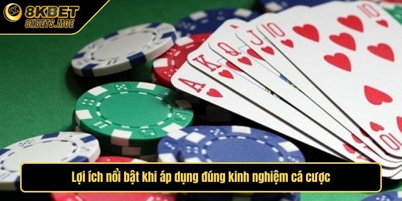 Lợi ích nổi bật khi áp dụng đúng kinh nghiệm cá cược