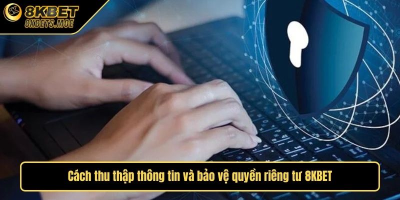 Cách thu thập thông tin và bảo vệ quyền riêng tư 8KBET